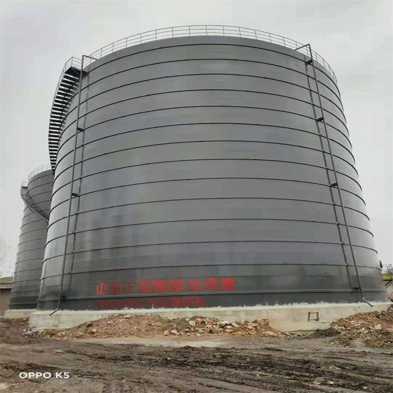 田阳3万吨大型钢板库